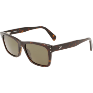 Occhiali da sole  Ferragamo Sf1039s cod. colore 240 Uomo Squadrata Havana