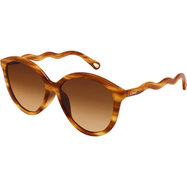 Occhiali da sole  Chloé Ch0087sa cod. colore 002 Donna Cat eye Havana