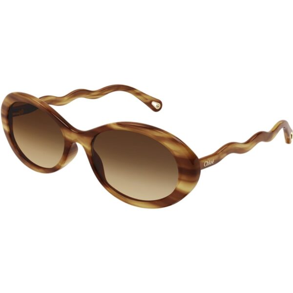 Occhiali da sole  Chloé Ch0088s cod. colore 002 Donna Rotonda Havana