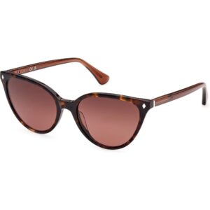 Occhiali da sole  Web We0329 cod. colore 56z Donna Cat eye Havana