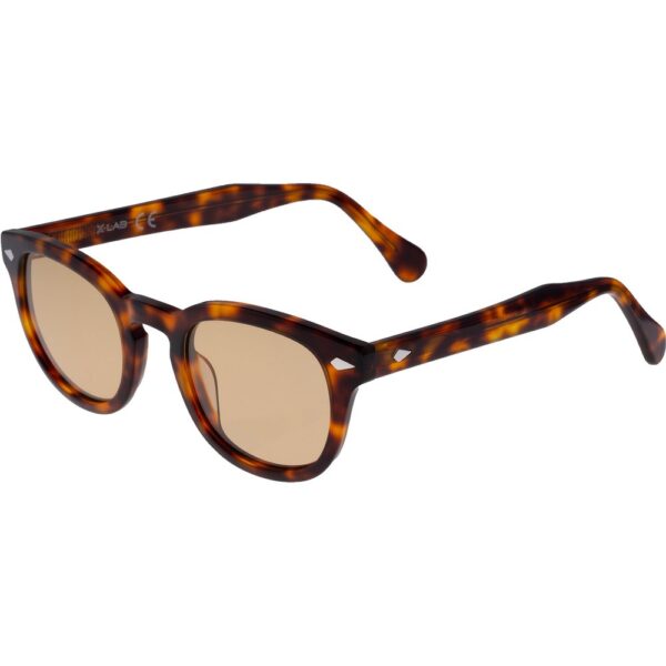 Occhiali da sole  Xlab 8004 stile moscot cod. colore 02 havana scuro/6265 marrone polarizzato Unisex Panthos Havana scuro