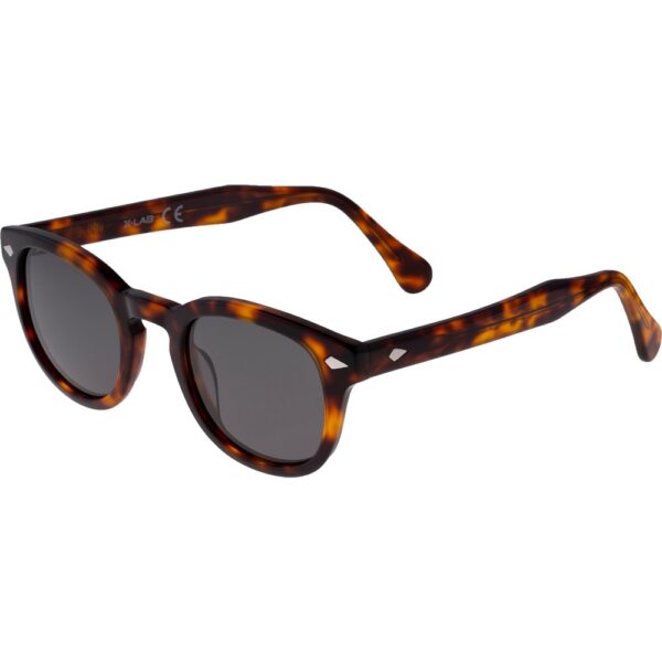 Occhiali da sole  Xlab 8004 stile moscot cod. colore 02 havana scuro/6267 fumo polarizzato Unisex Panthos Havana scuro