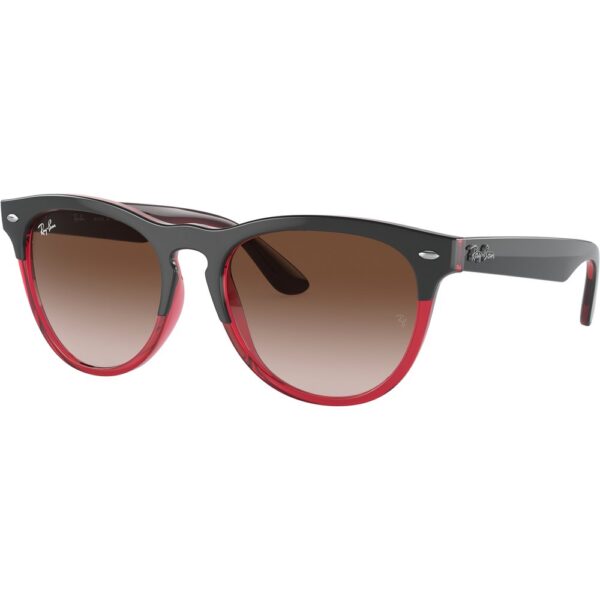 Occhiali da sole  Ray - ban Rb4471 iris cod. colore 663113 Unisex Panthos Multi-colore