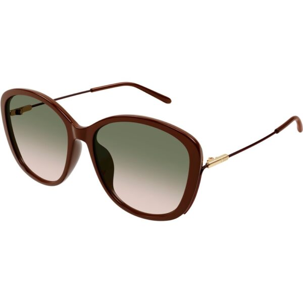 Occhiali da sole  Chloé Ch0175sk cod. colore 004 Donna Cat eye Marrone