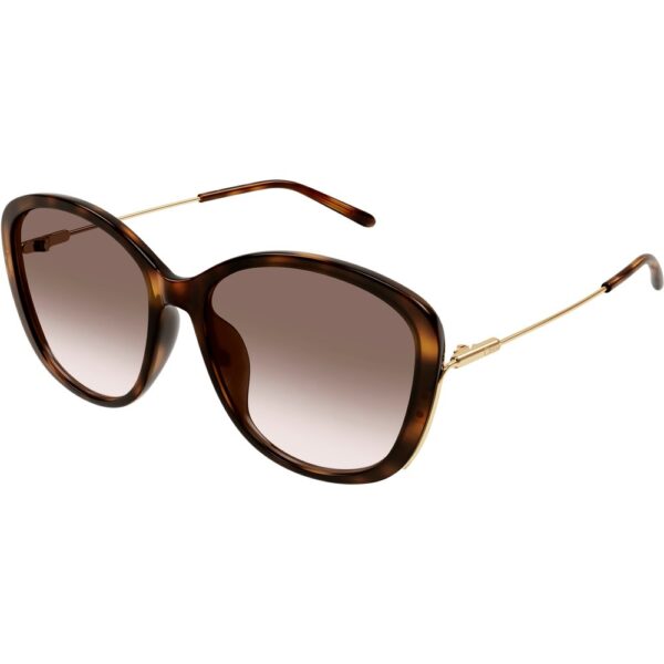 Occhiali da sole  Chloé Ch0175sk cod. colore 002 Donna Cat eye Havana