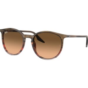 Occhiali da sole  Ray - ban Rb2204  cod. colore 13953b Unisex Panthos Marrone