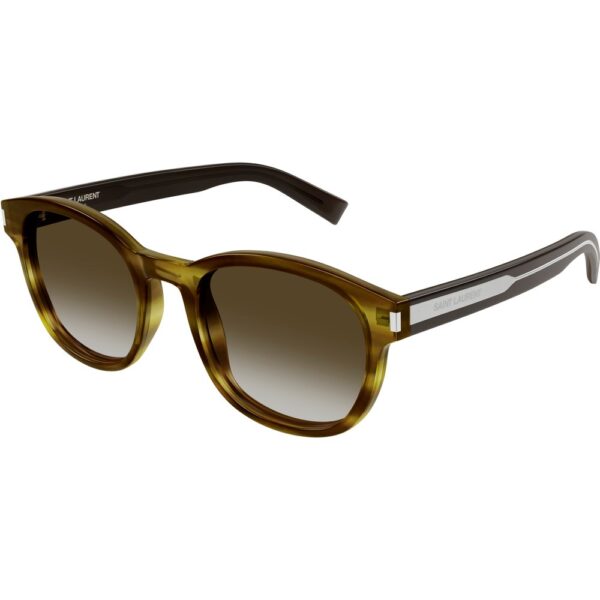 Occhiali da sole  Saint laurent Sl 620 cod. colore 005 Unisex Panthos Havana