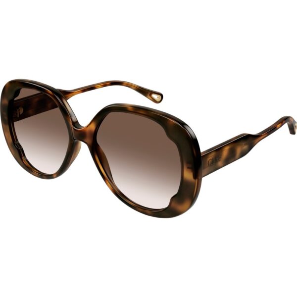 Occhiali da sole  Chloé Ch0195s cod. colore 002 Donna Farfalla Havana