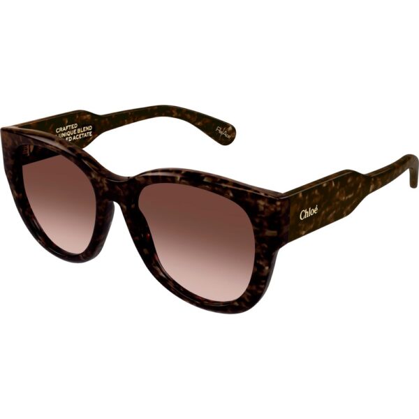 Occhiali da sole  Chloé Ch0192s cod. colore 002 Donna Cat eye Havana