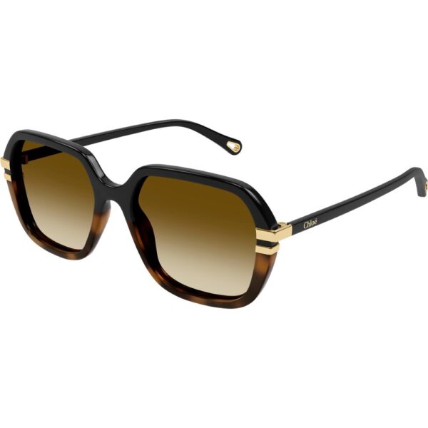 Occhiali da sole  Chloé Ch0204s cod. colore 003 Donna Squadrata Nero