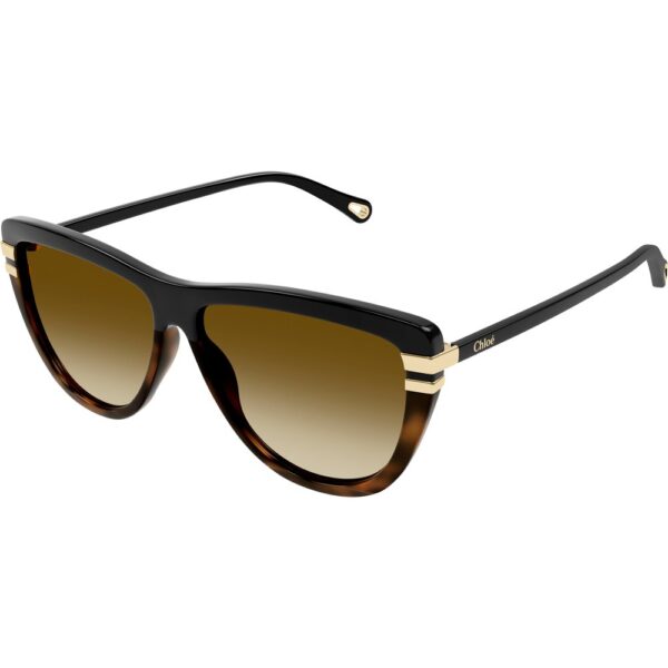 Occhiali da sole  Chloé Ch0203s cod. colore 003 Donna Cat eye Nero