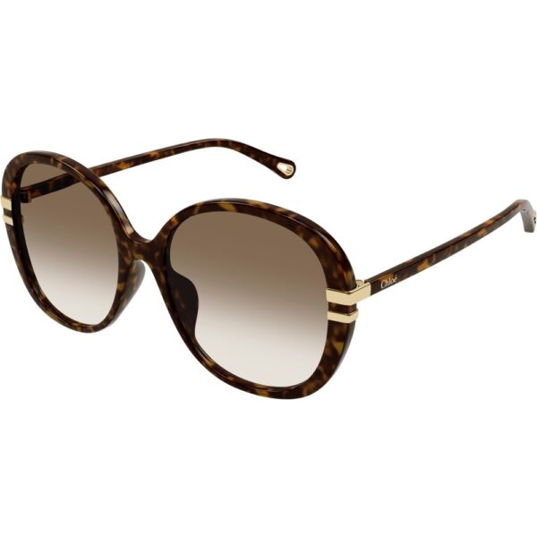 Occhiali da sole  Chloé Ch0207sk cod. colore 002 Donna Rotonda Havana