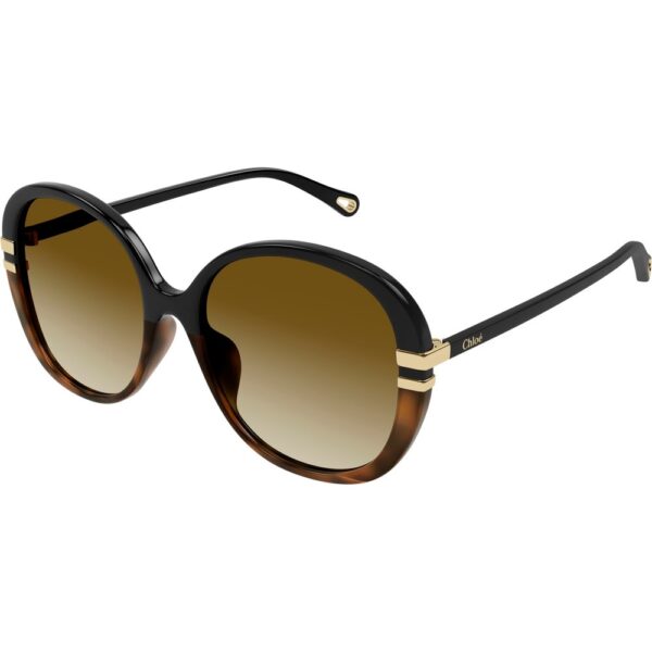 Occhiali da sole  Chloé Ch0207sk cod. colore 003 Donna Rotonda Nero