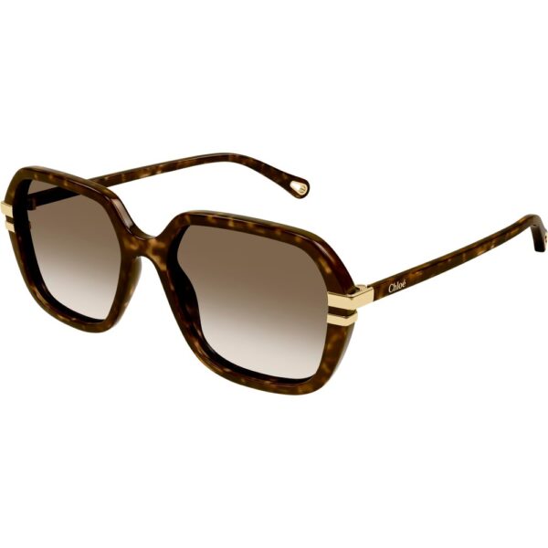 Occhiali da sole  Chloé Ch0204s cod. colore 002 Donna Squadrata Havana