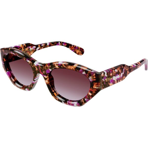 Occhiali da sole  Chloé Ch0220s cod. colore 005 Donna Cat eye Havana