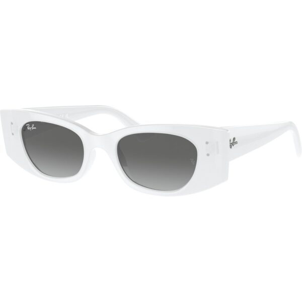 Occhiali da sole  Ray - ban Rb4427 kat cod. colore 675911 Unisex Geometrica Bianco