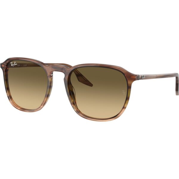 Occhiali da sole  Ray - ban Rb2203  cod. colore 13920a Unisex Squadrata Marrone