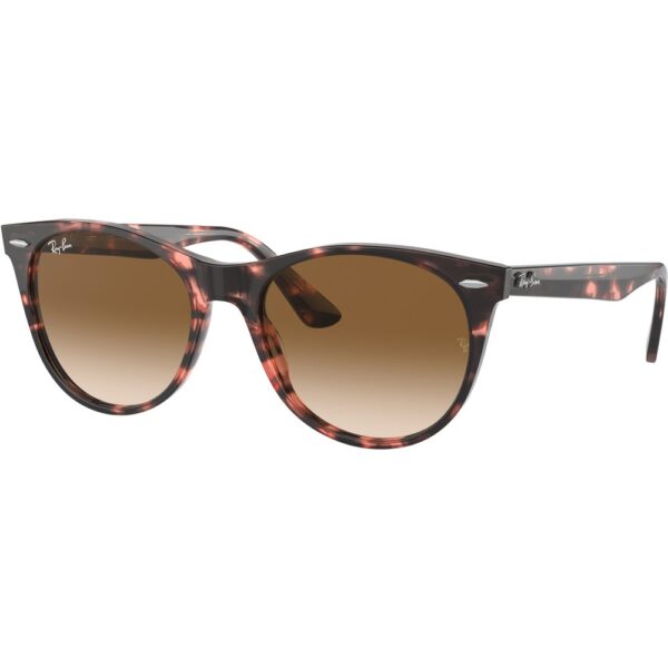 Occhiali da sole  Ray - ban Rb2185 wayfarer ii cod. colore 133451 Unisex Panthos Tartaruga