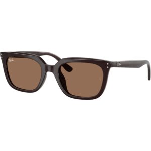 Occhiali da sole  Ray - ban Rb4439d  cod. colore 623173 Unisex Squadrata Marrone