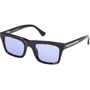 Occhiali da sole  Web We0362 cod. colore 56v Uomo Squadrata Havana